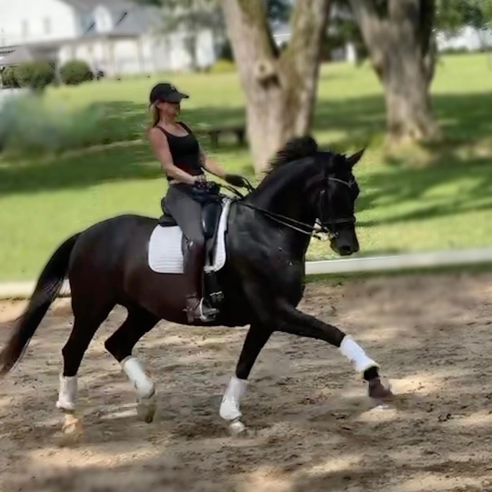 Meet your Posher, Teresa